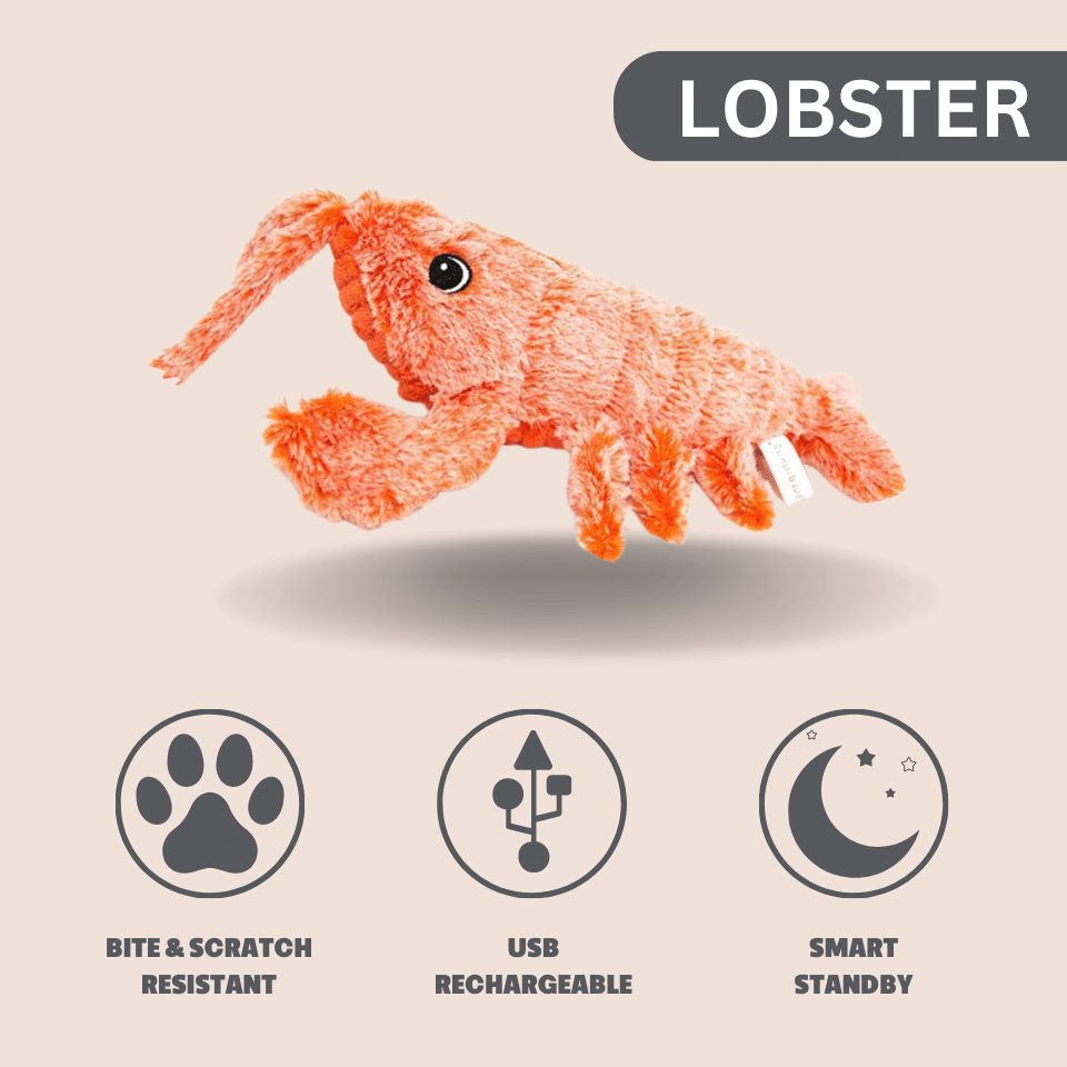 Interactive Dog Toys, Floppy Lobster Dog Toy Customer Experience Dogiie