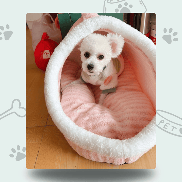 CozyNest- Premium Pet Bed