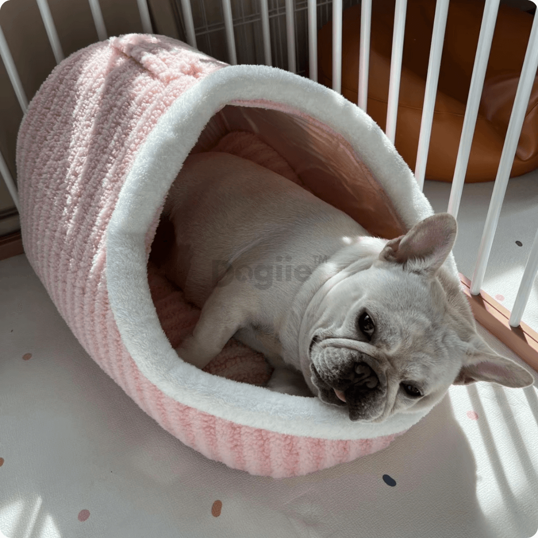 CozyNest- Premium Pet Bed