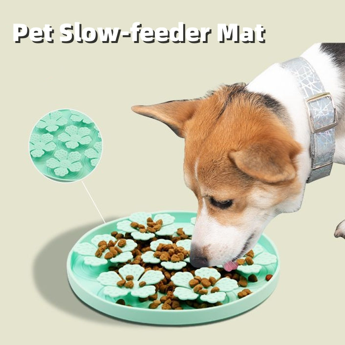 Slow Food Feeding Silicone Mat