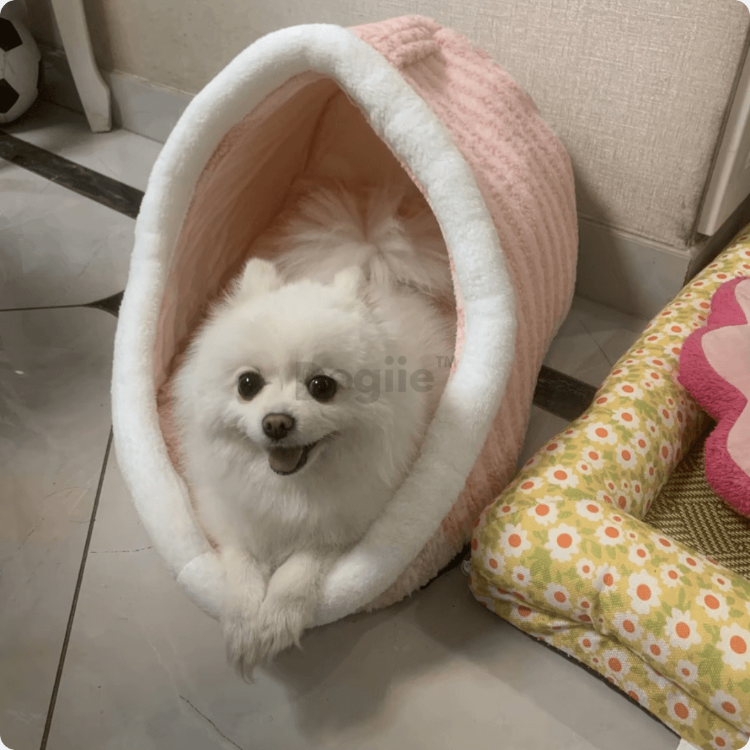 CozyNest- Premium Pet Bed