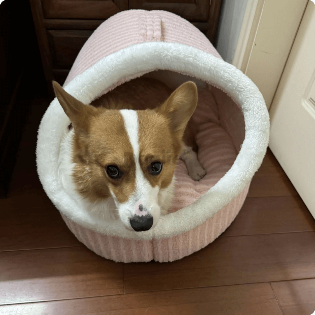 CozyNest- Premium Pet Bed