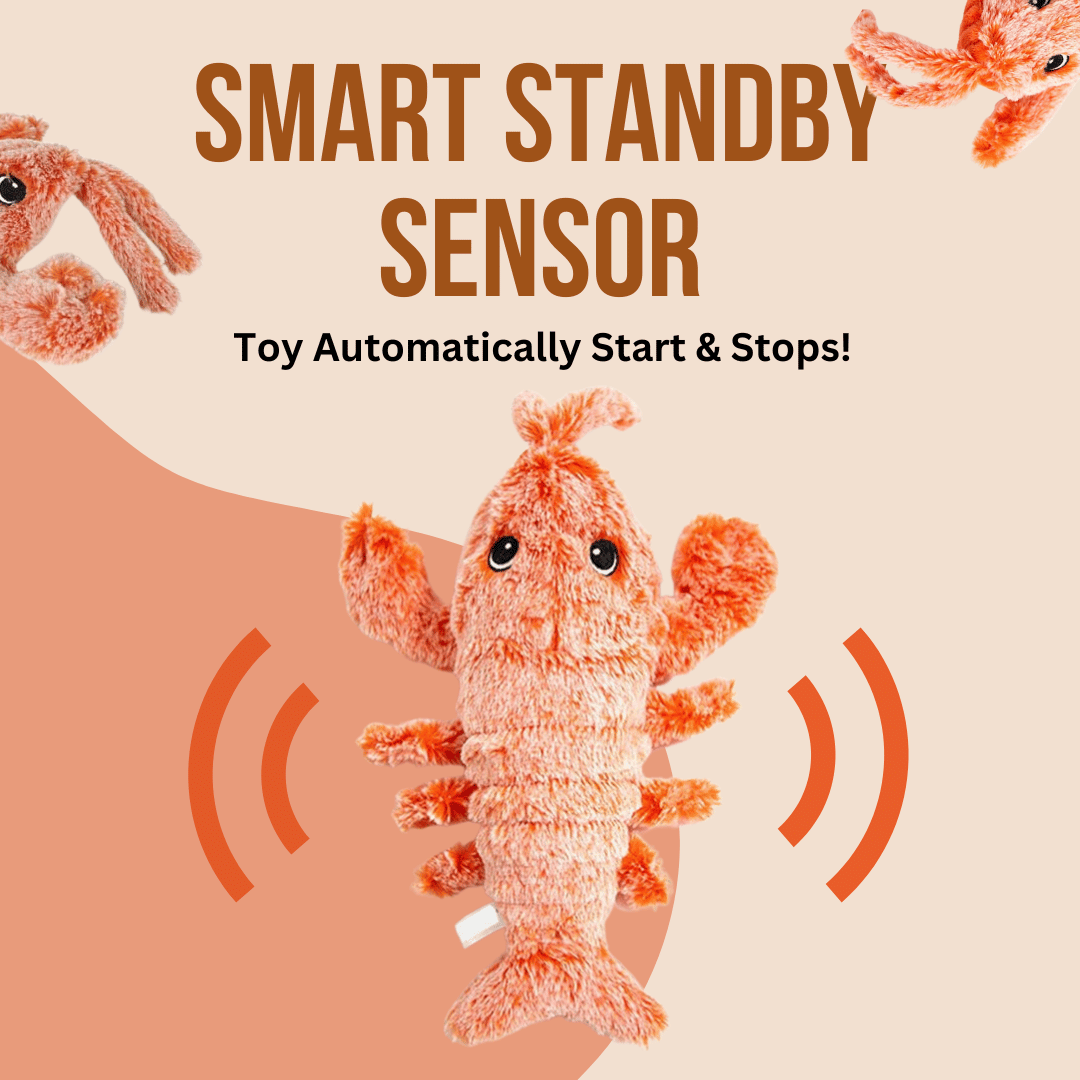 Floppy Lobster™ interactive dog toy