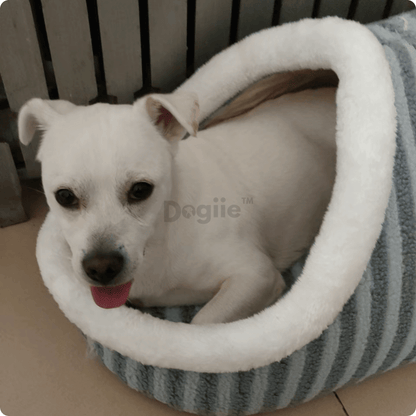 CozyNest- Premium Pet Bed