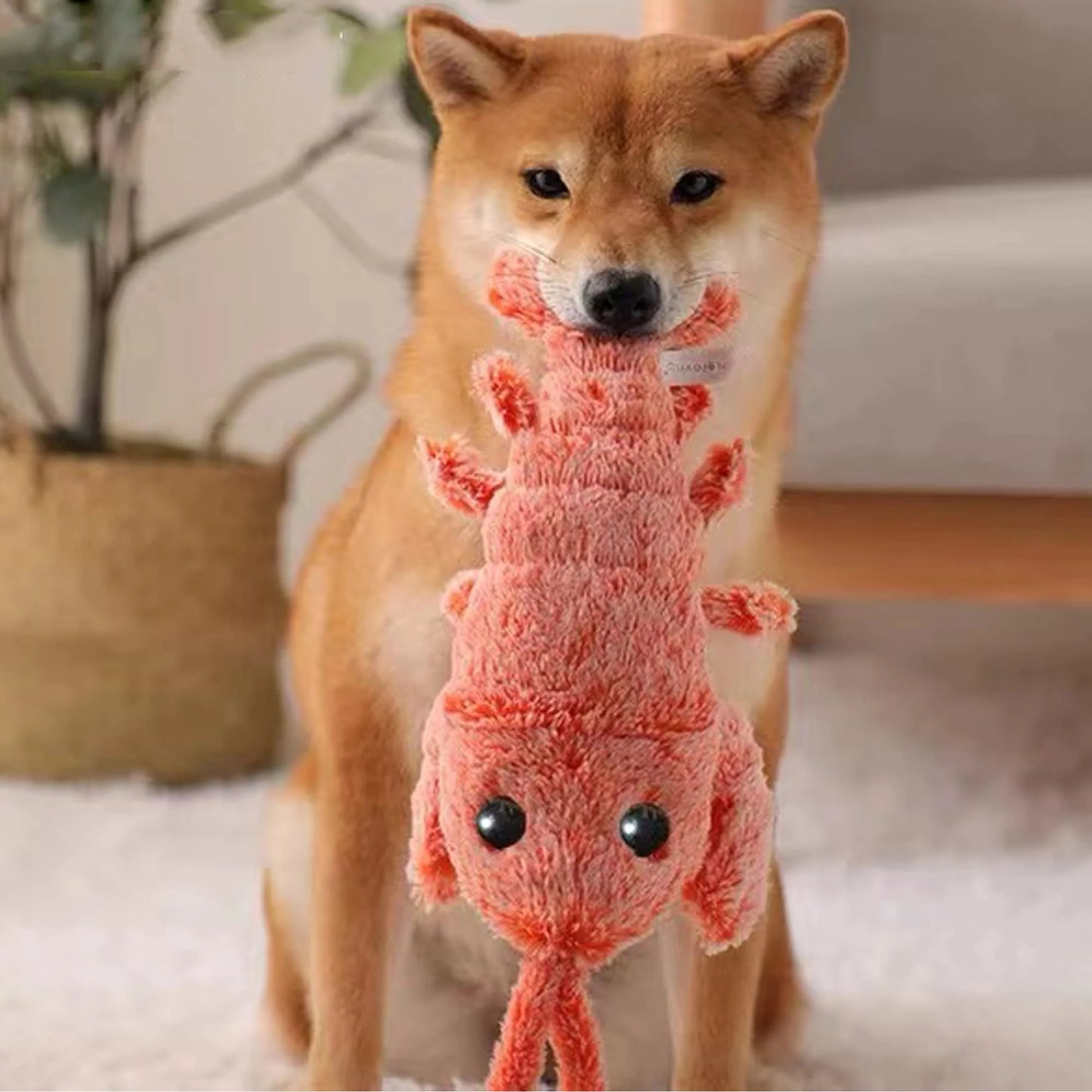 Floppy Lobster™ interactive dog toy