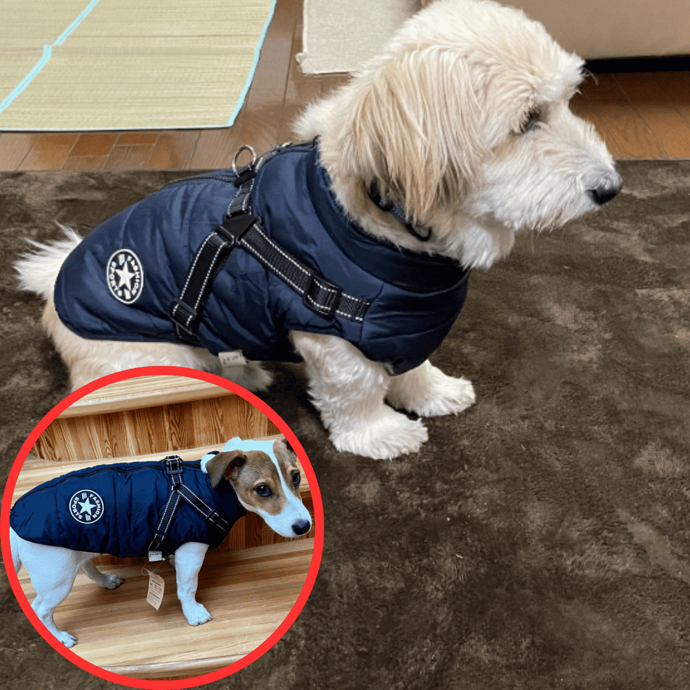 Popvcly 2 Pack Christmas Elk Snow Man Cold Weather Dog Coat for Winter Dog  Warm Jacket Waterproof Windproof Dog Vest for Small Medium Large Dogs Red