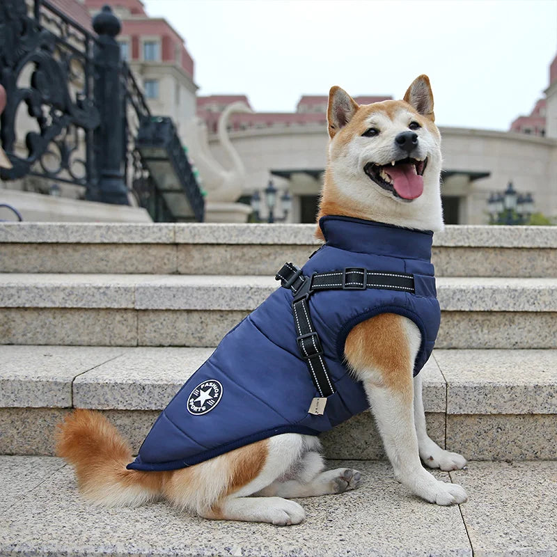 Waterproof Winter Dog Jacket with Built-in Harness