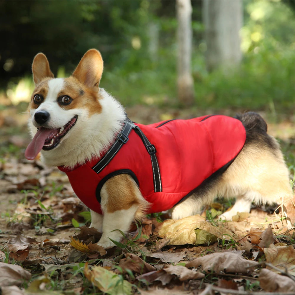 Waterproof Winter Dog Jacket with Built-in Harness