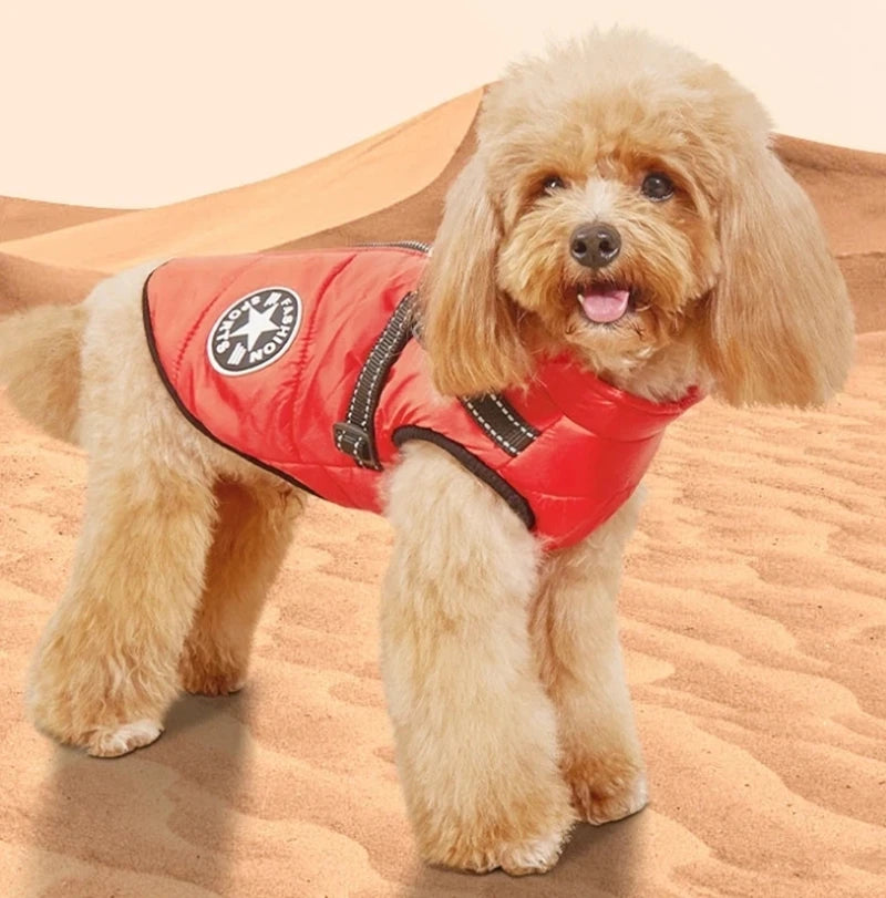 Waterproof Winter Dog Jacket with Built-in Harness