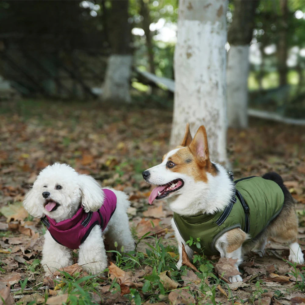 Waterproof Winter Dog Jacket with Built-in Harness