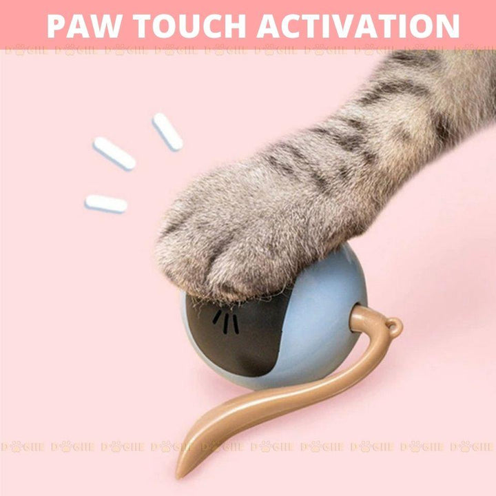Dogiie interactive cat toy - Dogiie