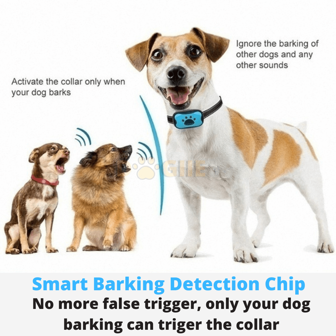 Dogiie™ Anti Barking Ultrasonic Dog Collar - Dogiie