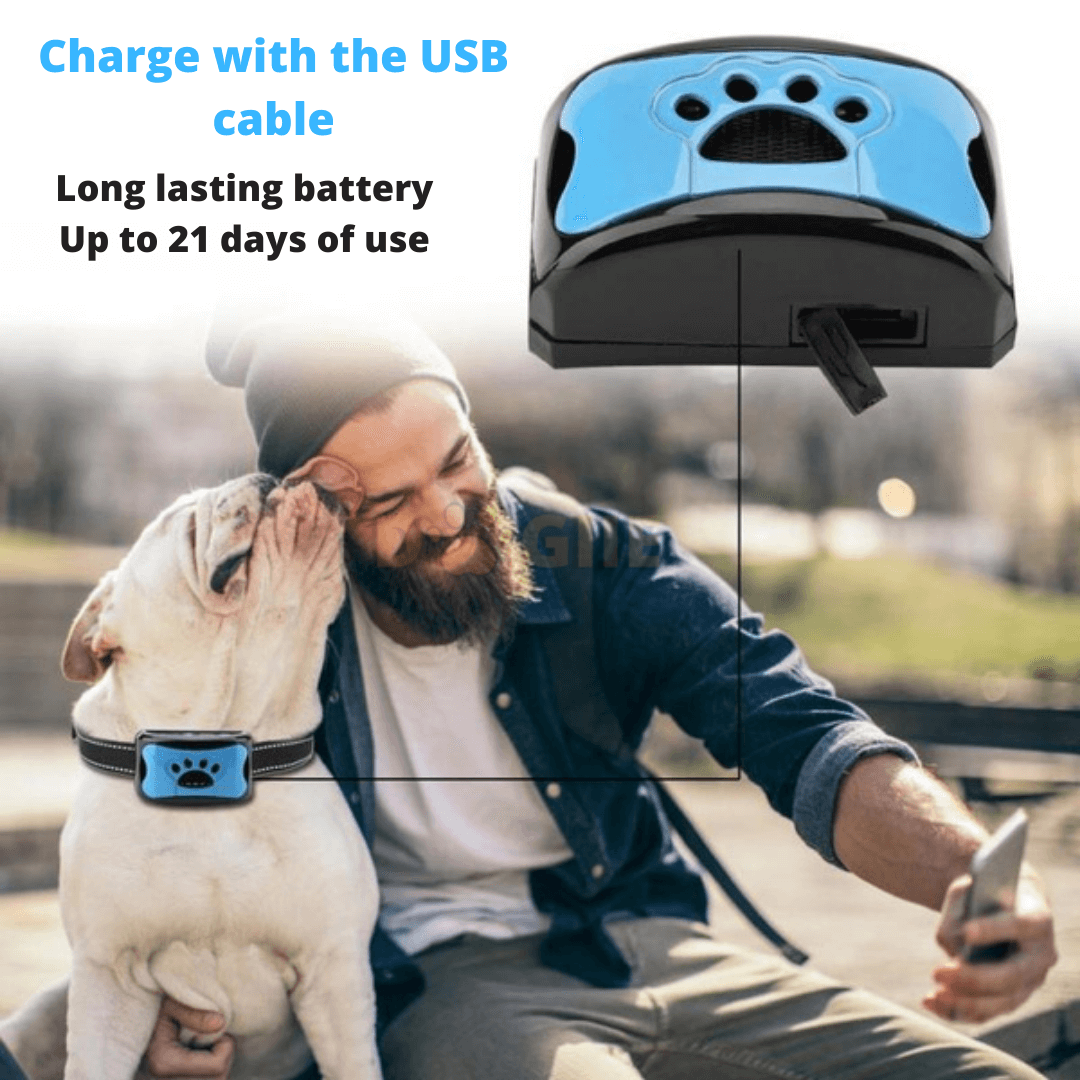 Dogiie™ Anti Barking Ultrasonic Dog Collar - Dogiie