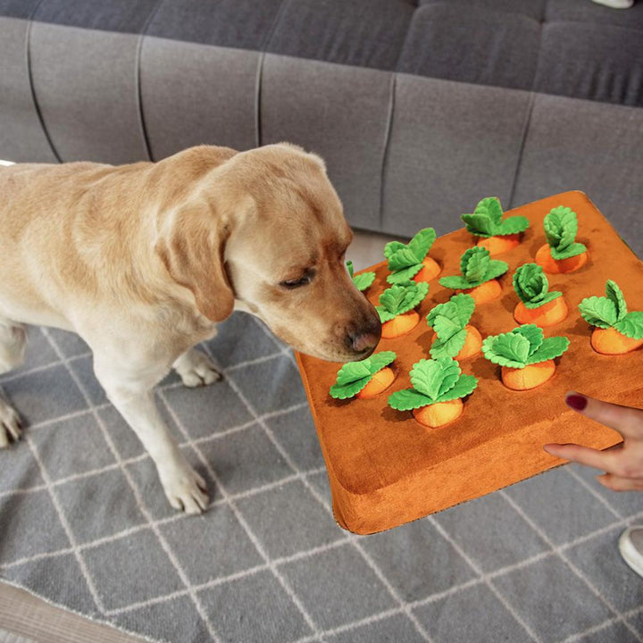 CARROT PLUSHIE™ - Enriches Your Dog's Life - Dogiie