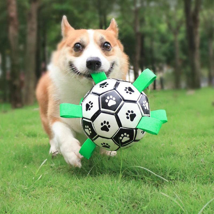 Interactive Soccer Ball - Dogiie