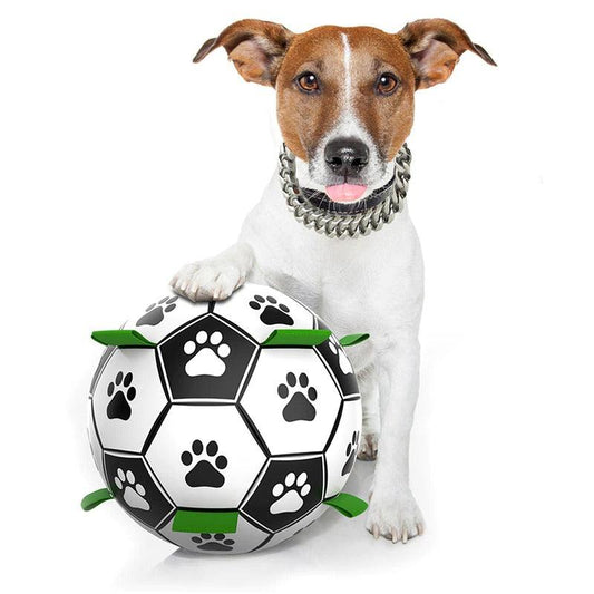 Interactive Soccer Ball - Dogiie