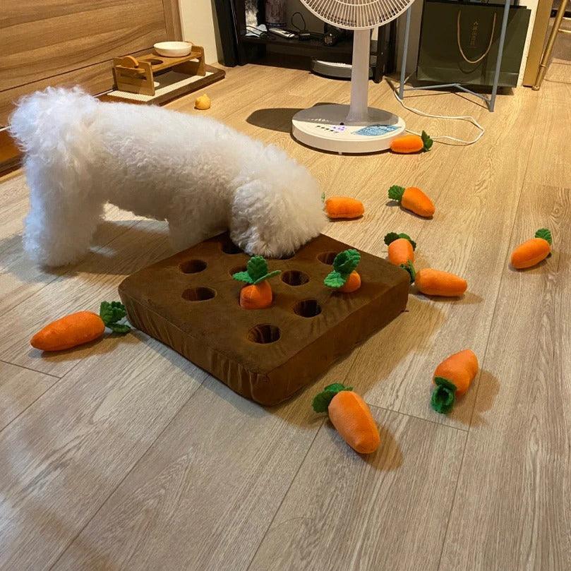 CARROT PLUSHIE™ - Enriches Your Dog's Life - Dogiie